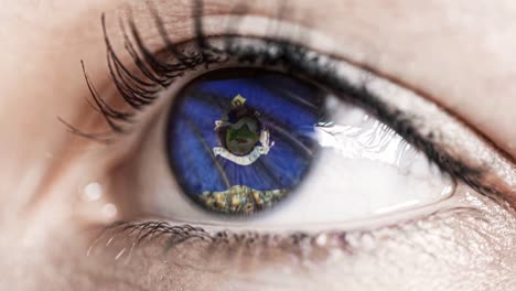 Woman-green-eye-in-close-up-with-the-flag-of-Maine-state-in-iris,-united-states-of-america-with-wind-motion.-video-concept