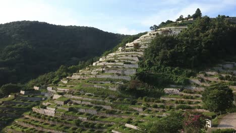 Cemetery-in-asia