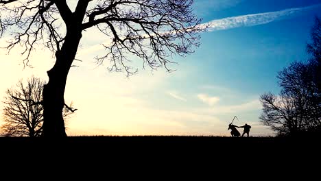 Grim-Reaper-came-for-a-new-victim-and-leads-the-victim-to-death.-sunset-silhouette.-concept-of-death