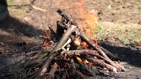 Brennen-in-den-Wald-Lagerfeuer-aus-trockenen-Zweigen