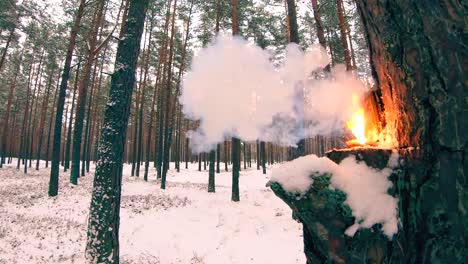 Explosion-von-einem-chinesischen-Feuer-Cracker-Petard-in-Slow-motion