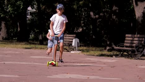 Los-niños-juegan-en-el-parque.