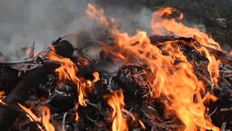 Orange-color-fire-flame-with-gray-and-black-color-smoke-from-burning-sticks