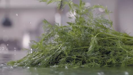 Falling-of-dill-into-the-wet-table.-Slow-motion-480-fps