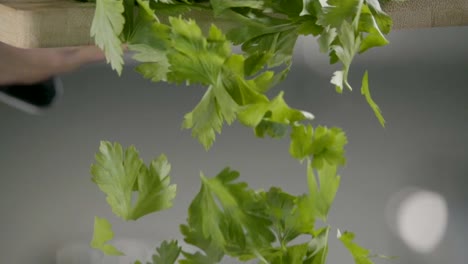 Falling-of-parsley.-Slow-motion-240-fps