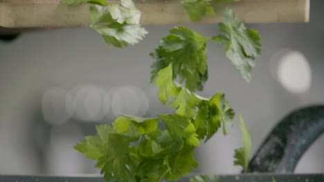 Falling-of-parsley-into-the-frying-pan.-Slow-motion-240-fps
