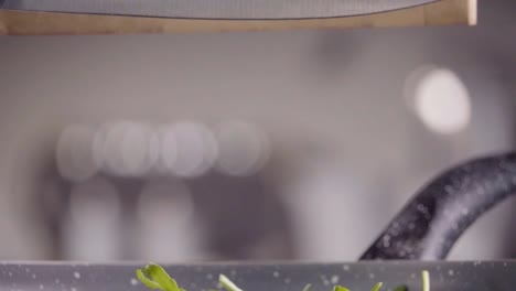 Falling-of-arugula-into-the-frying-pan.-Slow-motion-240-fps