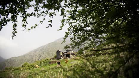 Landschaft-mit-Dorf-und-weidenden-Kühen-in-Bergen