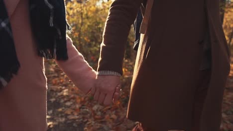 Romantic-close-up-view-of-joined-hands-of-man-and-woman-walking-in-fall-forest