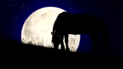 Night-Pasture-in-the-Light-of-the-Moon