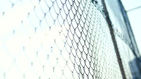 Blows-on-mesh-fence-with-mens-hands.-Angry-bald-man-beats-hands-on-a-grid-fence