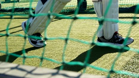 Jugador-de-Cricket-caminando-en-la-cancha-durante-una-sesión-de-práctica