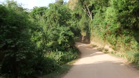 Driving-on-a-Brazilian-Countryside