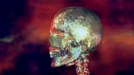 Human-Skull-Animation