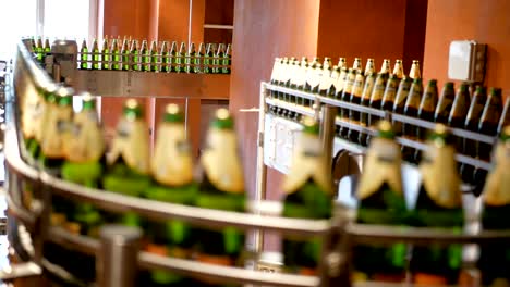 Large-number-of-glass-bottles-with-beer-are-moving-along-the-conveyor.-Low-alcohol-production.-Drinks-are-ready-to-eat.-Factory-equipment-at-work.-The-finished-product-moves-to-another-stage.-Factory-automation.