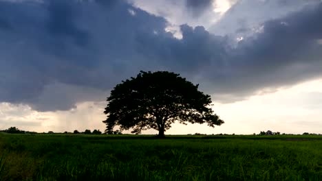 Intense-rotating-supercell-thunderstorm