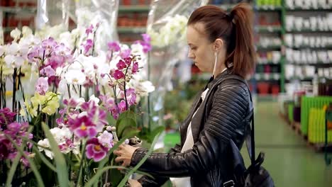 Die-Frau-im-Supermarkt,-in-der-Abteilung-für-Garten-und-Haus-Pflanzen-wählen-indoor-Blumentopf