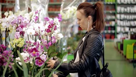 La-mujer-en-el-supermercado,-en-el-Departamento-de-plantas-de-jardín-y-casa-elegir-maceta-interior