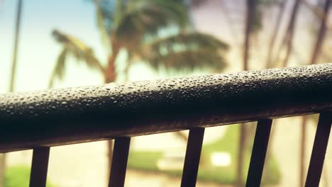 Close-Up-Of-Wet-Hand-Rail