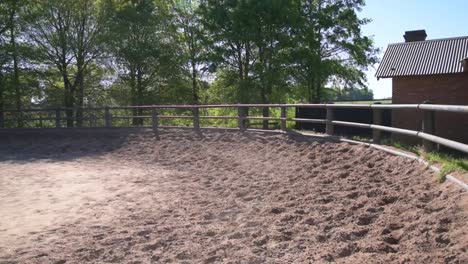 Secuence-von-zwei-Szenen.-Das-Pferd-läuft-in-einer-Art-und-Weise.-Nächste-Szene-das-Pferd-hält-und-starten-auf-dem-anderen-Weg.-Unter-blauem-Himmel-an-einem-sonnigen-Tag-im-Sommer-oder-im-Frühjahr