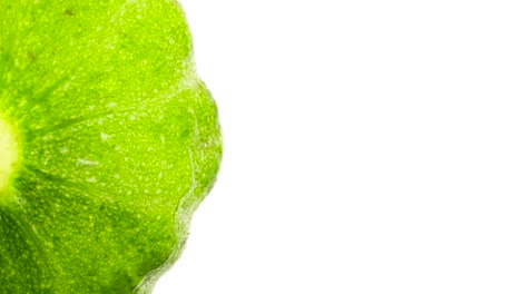 View-from-above-of-green-pattypan-squash.-Half-frame.-Rotating.-Isolated-on-the-white-background.-Close-up.-Macro.