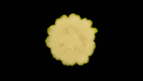 Cross-section-of-pattypan-summer-squash-rotating.-Isolated-on-the-white-background.-Close-up.-Macro.