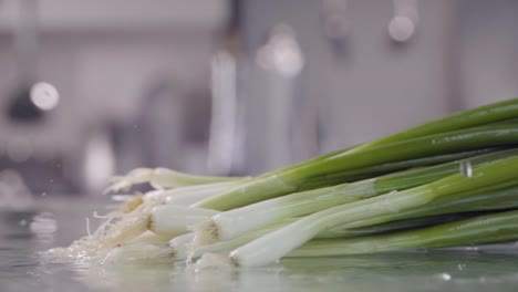 Falling-of-leek-green-onion-into-the-wet-table.-Slow-motion-240-fps