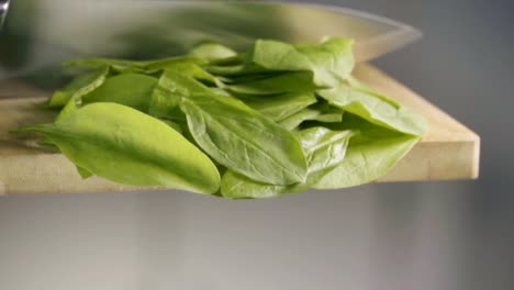 Falling-of-spinach.-Slow-motion-480-fps