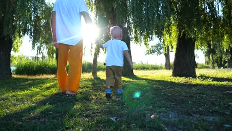 Vista-posterior-de-padre-joven-y-pequeño-hijo-cogidos-de-la-mano-y-caminar-por-el-parque-en-día-de-verano.-Familia-feliz-pasar-tiempo-juntos-en-la-naturaleza.-Luz-del-sol-en-el-fondo.-Lenta-de-cerca