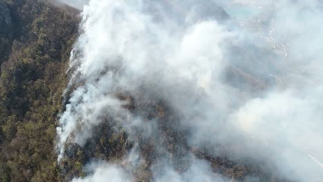 Natural-disasters,-woods-covered-in-thick-smoke