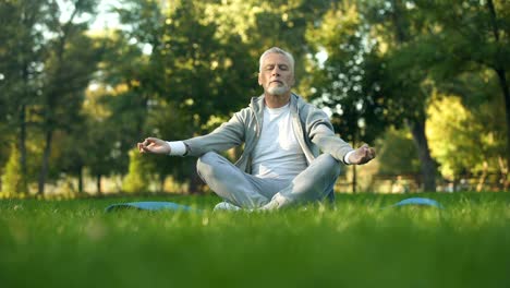 Hombre-senior-sano-meditar-en-el-parque,-sentado-postura-de-loto-en-la-estera-de-yoga,-zen