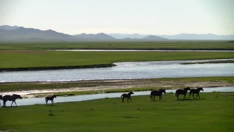 Landschaft-der-Mongolei