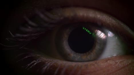 Close-up-shoot-of-gray-eye-blinking-with-reflection-of-green-lamp-on-it-in-complete-darkness.