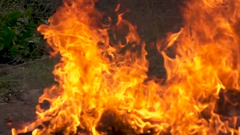 Close-up-of-fire-burn-wood-pile-with-slow-motion