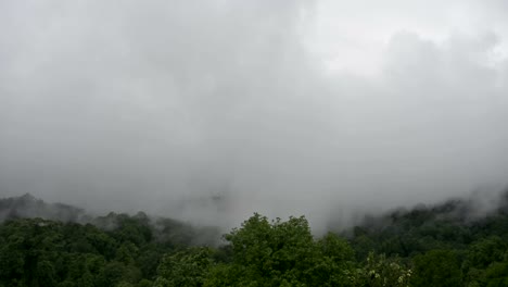 Tropischen-Regenwald-während-der-Monsun-Regenzeit