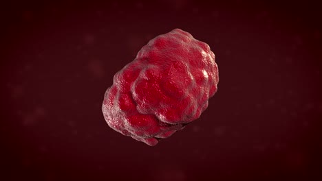 Handy-mikroskopische-Verbreitung,-Spaltung,-Kernspaltung,-dna