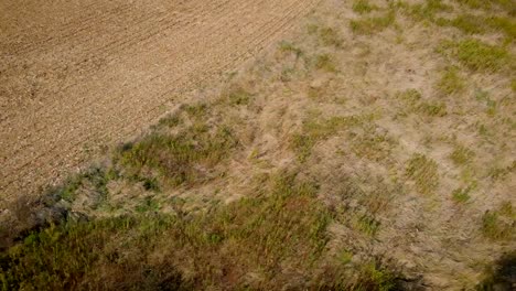 ruined-abandoned-house-(aerial-view)