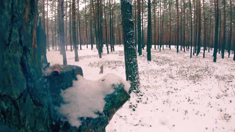 Explosion-von-einem-chinesischen-Feuer-Cracker-Petard-in-Slow-motion