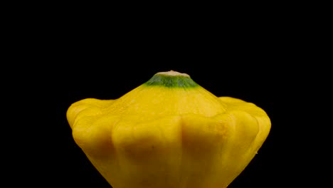 Una-calabaza-patisson-todo-amarillo.-Gira-lentamente-en-el-plato.-Aislado-sobre-fondo-negro.-Close-up.-Macro.