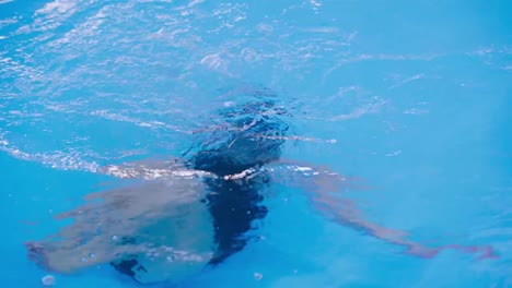 swimming-lessons-for-children-in-the-pool---beautiful-fair-skinned-girl-swims-in-the-water