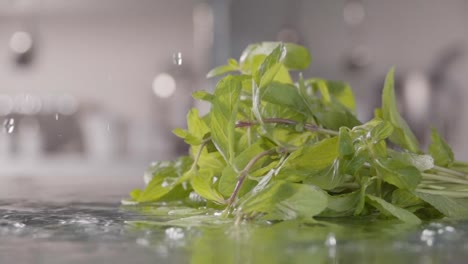 Falling-of-mint-into-the-wet-table.-Slow-motion-240-fps