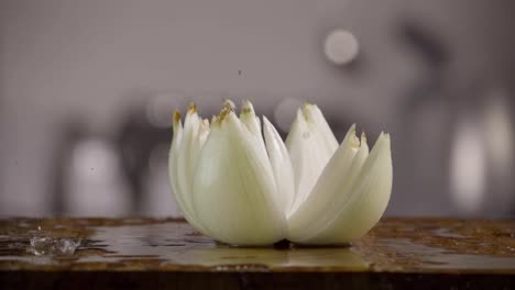 Falling-of-white-onion-into-the-wet-table.-Slow-motion-240-fps