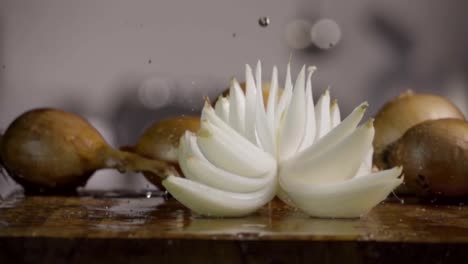 Falling-of-white-onion-into-the-wet-table.-Slow-motion-480-fps