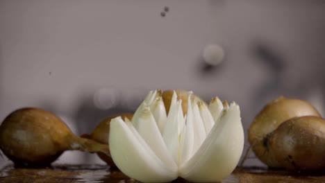 Falling-of-white-onion-into-the-wet-table.-Slow-motion-480-fps