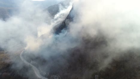 Aerial-footage-of-the-woods-covered-in-thick-smoke,-the-camera-is-going-through-the-smoke