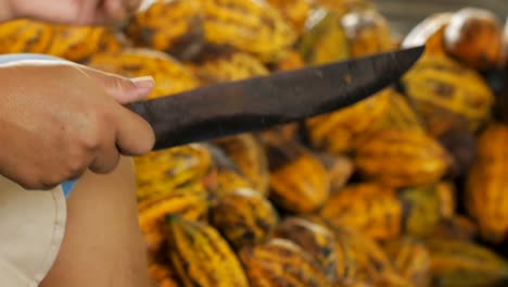 hombre-de-preparación-antes-de-la-fermentación-de-cacao.