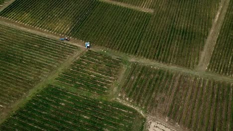 Vista-aérea,-máquina-de-país-del-vino-cosecha-de-la-uva-con-la-máquina-segador,-zángano-de-la-vista-del-paisaje-de-viñedos-de-la-vendimia