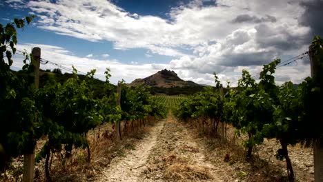 Trübe-Timelapse-über-die-Berge-und-den-Weinberg-am-Sommertag