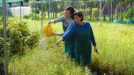 Mujer-regando-las-plantas