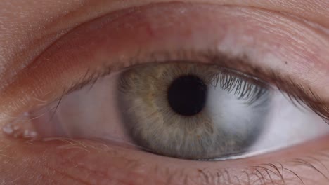 Close-up-shoot-of-green-eye-blinking-and-shrinking-the-pupil.